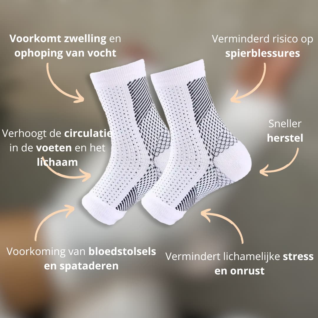 #lang_nl,be