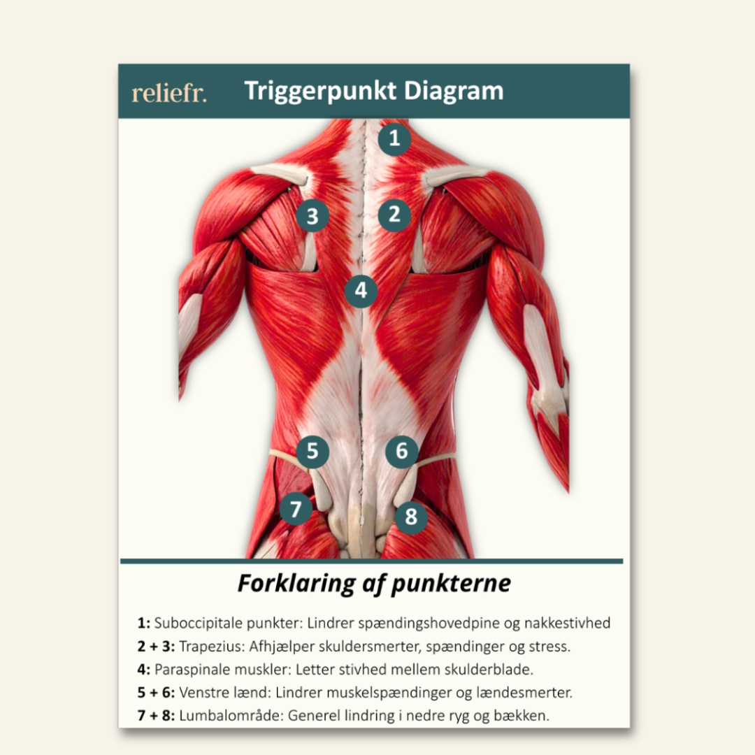 CloudMat Pro 2. Sortering