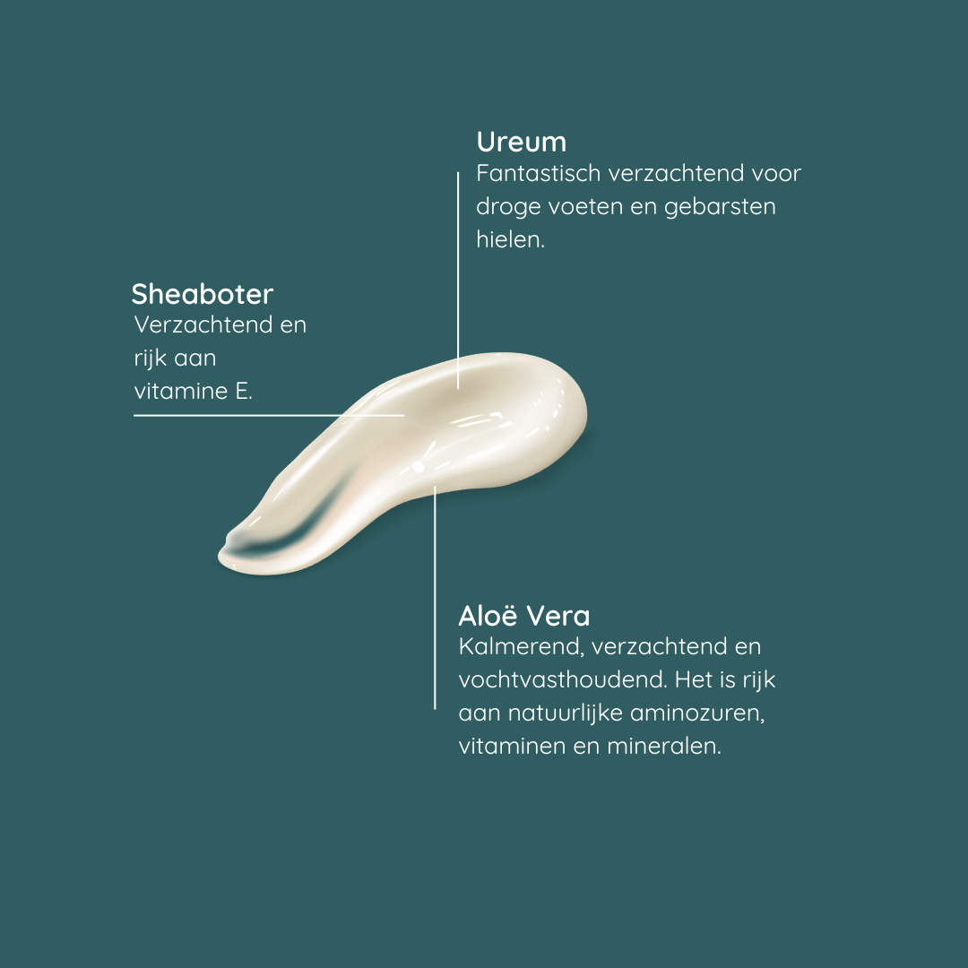 #lang_nl,be